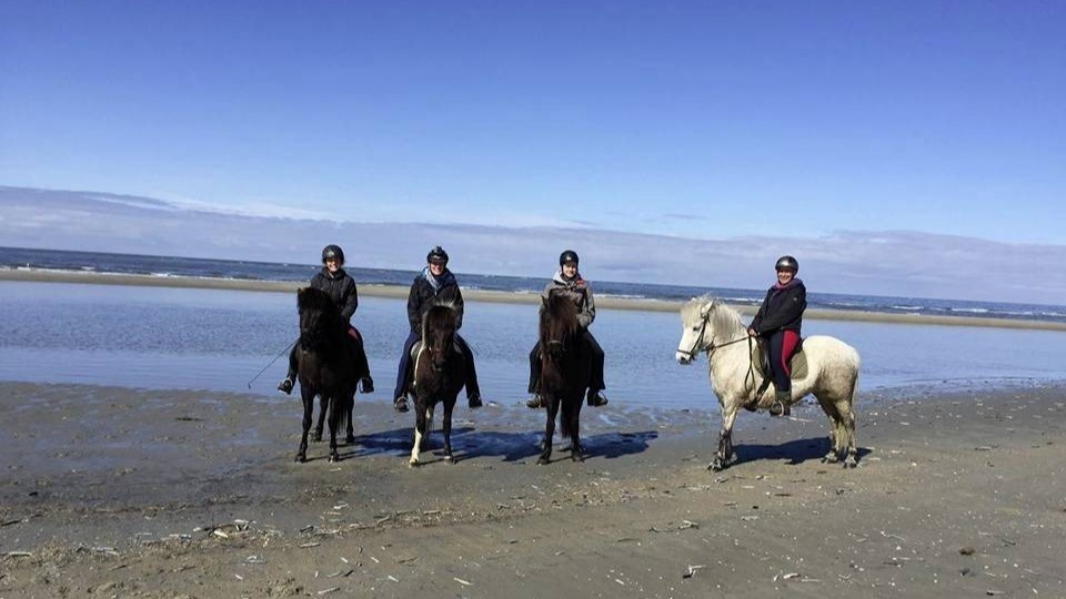Verlängertes Reiterwochenende